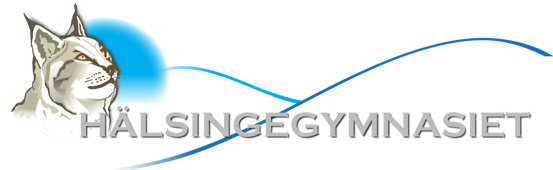 Hälsingegymnasiet Support